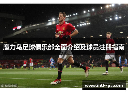 魔力鸟足球俱乐部全面介绍及球员注册指南 魔力鸟足球俱乐部全面介绍及球员注册指南